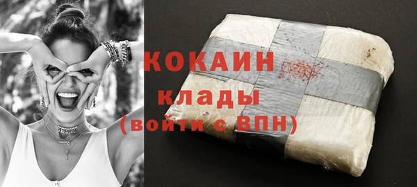 крисы Баксан