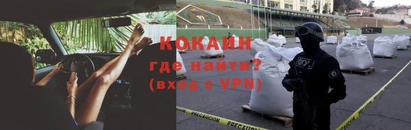 крисы Баксан