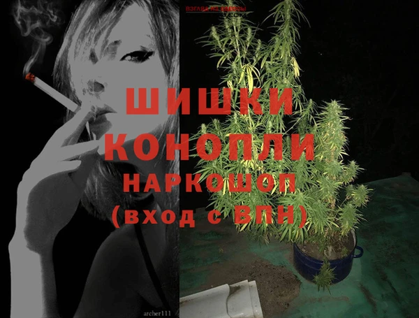 крисы Баксан