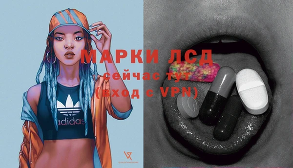 крисы Баксан